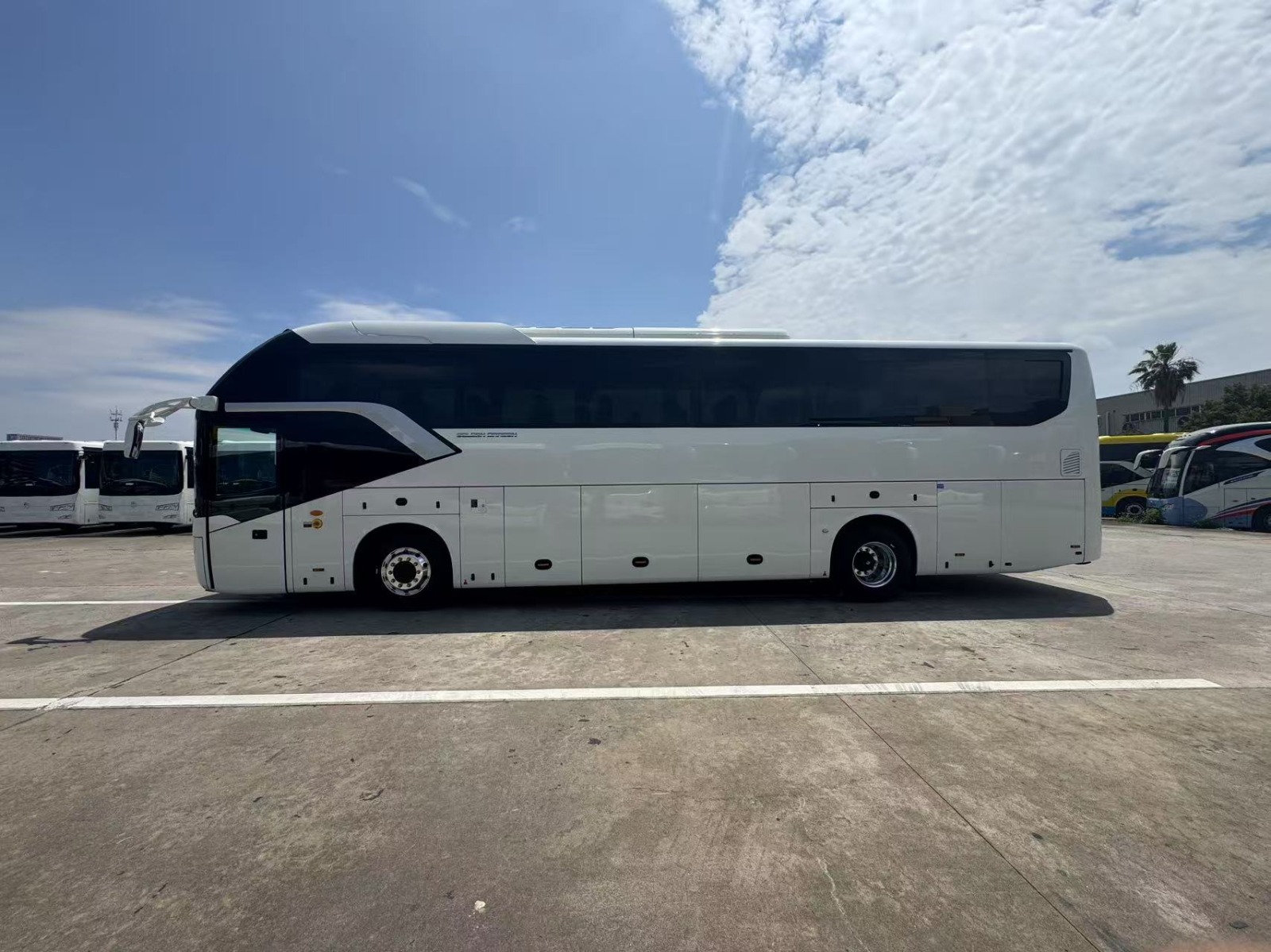 49 to 55 seater fleet